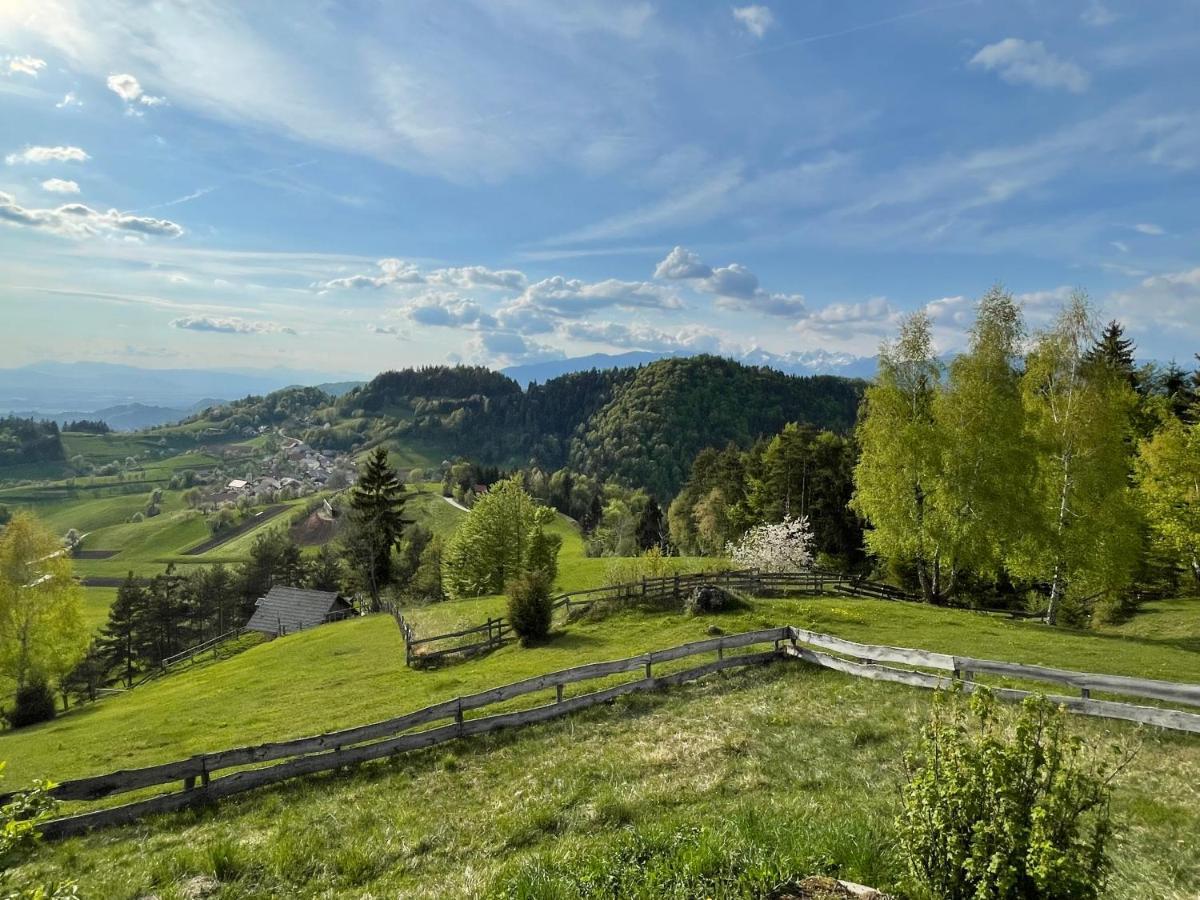 Mountain View Cottage Kamnik Ngoại thất bức ảnh